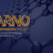 ARNO: The Energy Power Solution Using Nano-Technology and Defi ARNO: The Energy Power Solution Using Nano-Technology and Defi