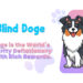 Blind Doge ($BDoge) Brings the World’s, First Charity Deflationary Token Blind Doge ($BDoge) Brings the World’s, First Charity Deflationary Token