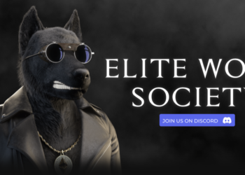 Elite wolf society catches the attention of the NFT community