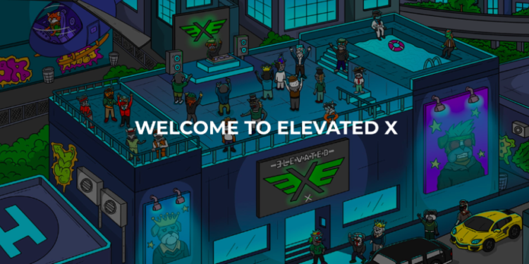 Elevated X Launches the Most Anticipated NFT Collection With Real-world Benefits Elevated X Launches the Most Anticipated NFT Collection With Real-world Benefits