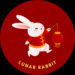 Lunar Rabbit will make a great 2023. “A detailed guide”