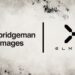 Bridgeman Images and ElmonX Forge Exclusive Partnership to Pioneer High-Quality NFT Art Bridgeman Images and ElmonX Forge Exclusive Partnership to Pioneer High-Quality NFT Art