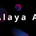 Alaya AI: Unveils AI Integration POW at Binance Blockchain Week, A new generation of decentralized co-creation AI training rules Alaya AI: Unveils AI Integration POW at Binance Blockchain Week, A new generation of decentralized co-creation AI training rules