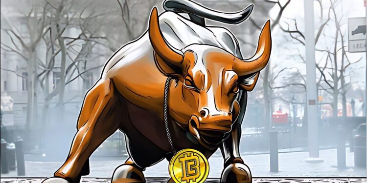 The Symbiotic Relationship between Halving and Bull Runs in Cryptocurrency