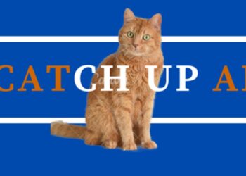 Unleash the Meme Revolution: Catch Up AI Token Takes the Crypto Bull Run by Storm!