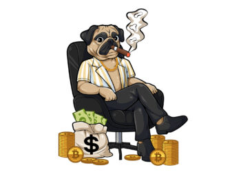 Next 1000x Solana coin release of 2024 Next 1000x Solana coin release of 2024