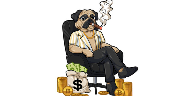 Next 1000x Solana coin release of 2024 Next 1000x Solana coin release of 2024