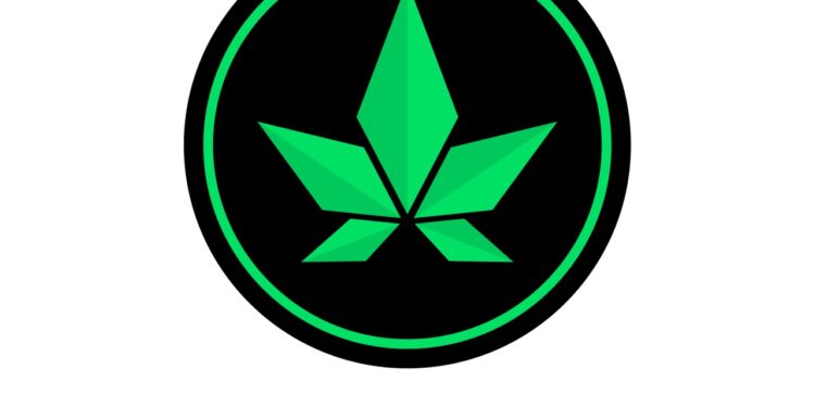 Cannabis Weed Token with 40+ Years of Marijuana Experience to Launch