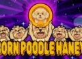 Introducing Poodle Haney: The Next Big Meme Coin! | Join the Presale Now! Introducing Poodle Haney: The Next Big Meme Coin! | Join the Presale Now!