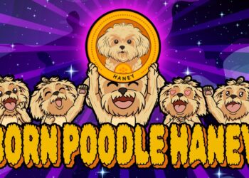 Introducing Poodle Haney: The Next Big Meme Coin! | Join the Presale Now!