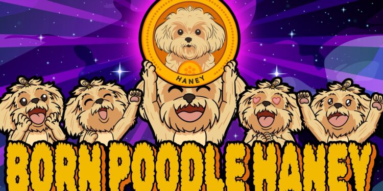 Introducing Poodle Haney: The Next Big Meme Coin! | Join the Presale Now!