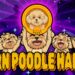 Introducing Poodle Haney: The Next Big Meme Coin! | Join the Presale Now!