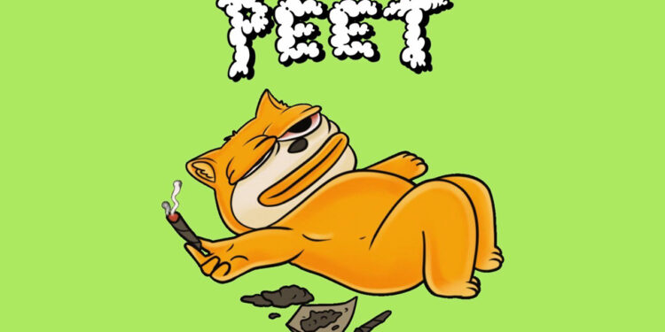 Community Takes Over and Revives Solana-Based Memecoin, Peet