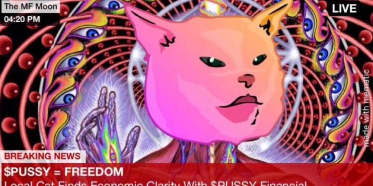 What is Pussy Financial (PUSSY)? Memecoin Cat on Ethereum Network What is Pussy Financial (PUSSY)? Memecoin Cat on Ethereum Network