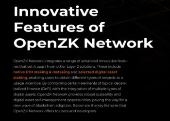 OpenZK is the Next Sui! Why is it Said to Have 20x Growth Potential?