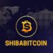 ShibaBitcoin—Redefining Everyday Cryptocurrency Transactions ShibaBitcoin—Redefining Everyday Cryptocurrency Transactions