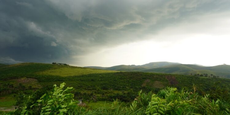 FG Capital Advisors Opens Private Round for Tokenized Carbon “Stream” Financing – Pre‑Launch SAFEs Now Available