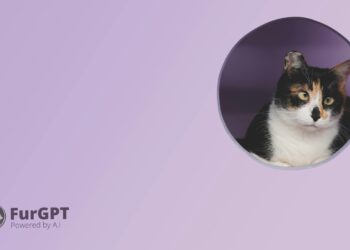 FurGPT (FGPT) Foundation Stops Theft of M Worth of Solana (SOL) Tokens