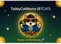 The Purr-fect Wave: How TabbyCatMeme ($TCAT) is Redefining the Meme Coin Game on Solana